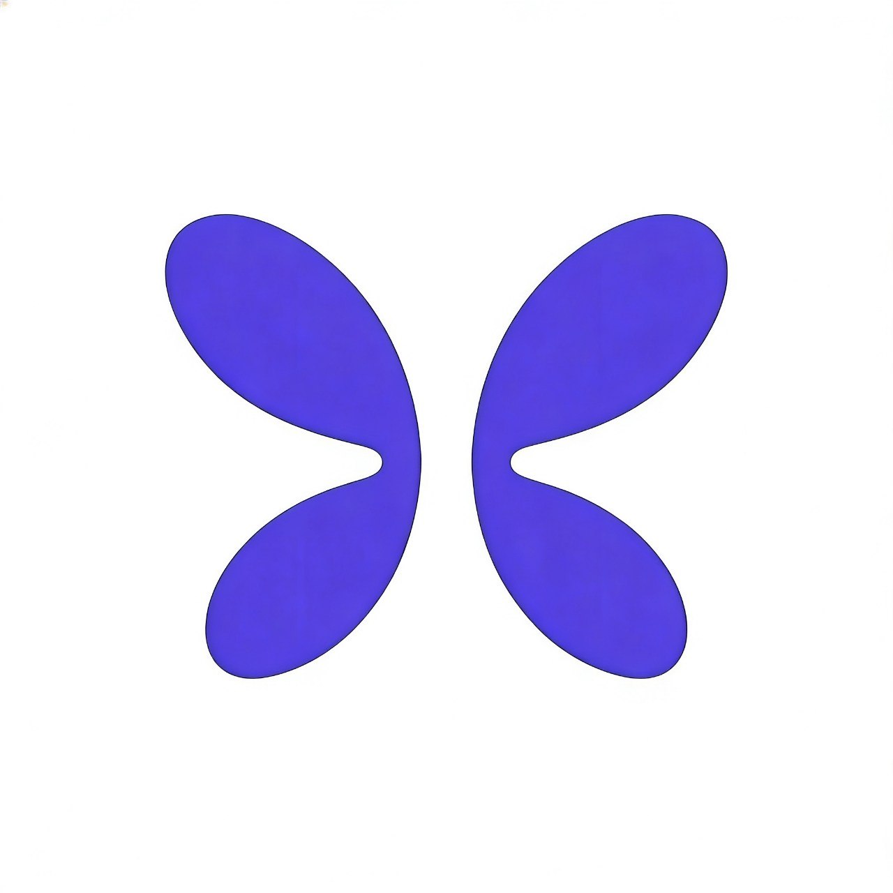 Flap